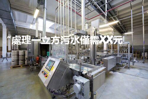 “處理一立方污水僅需XX元，環(huán)保創(chuàng)新引領(lǐng)以后！”